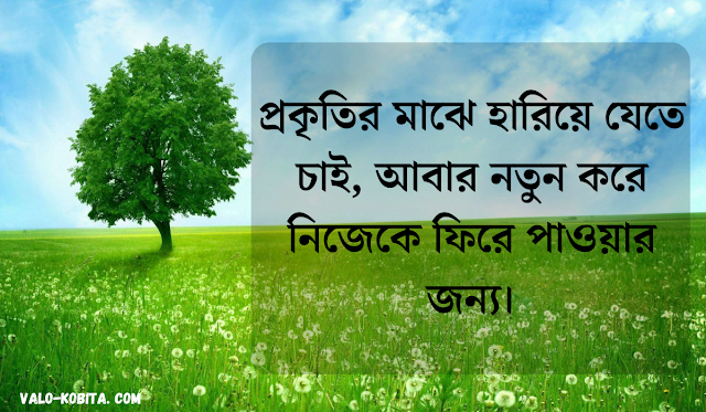 প্রকৃতির সৌন্দর্য নিয়ে স্ট্যাটাস,প্রকৃতির সৌন্দর্য নিয়ে কিছুকথা,প্রকৃতির সৌন্দর্য নিয়ে ক্যাপশন প্রকৃতির সৌন্দর্য নিয়ে উক্তি