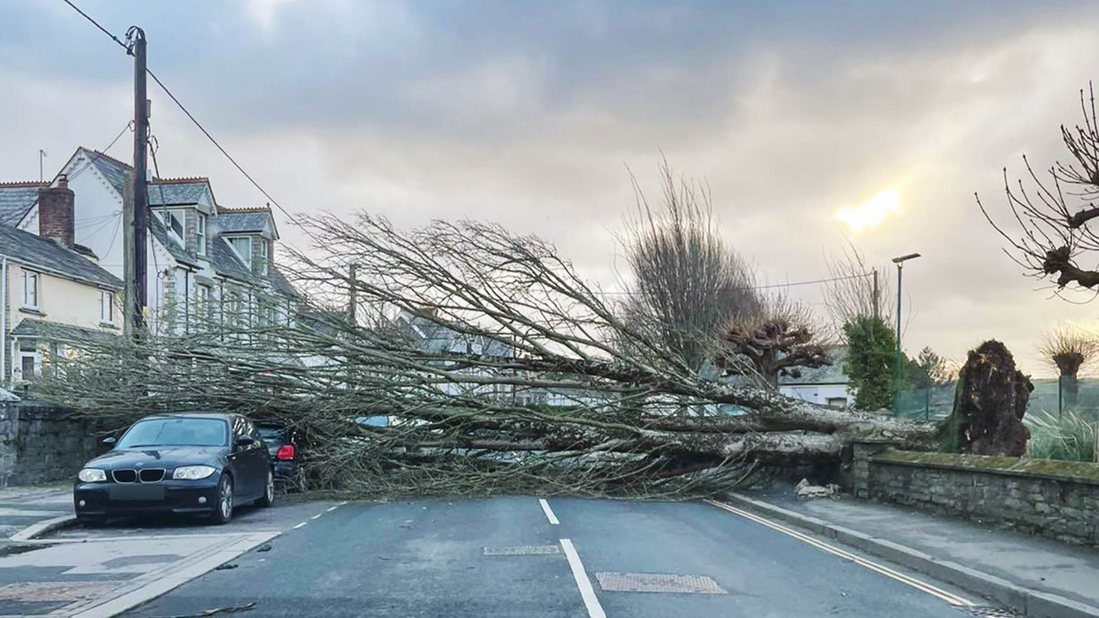 Wadebridge tree blocks the road