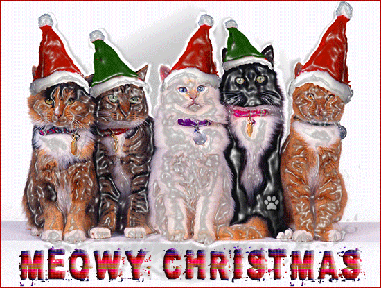 ART Cat GIF • Meowy Catmas' to all kitties & cat lovers 💕 all over the World