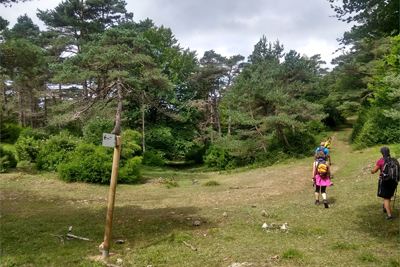 Sendero de San Martín de Don - PRC-BU 94