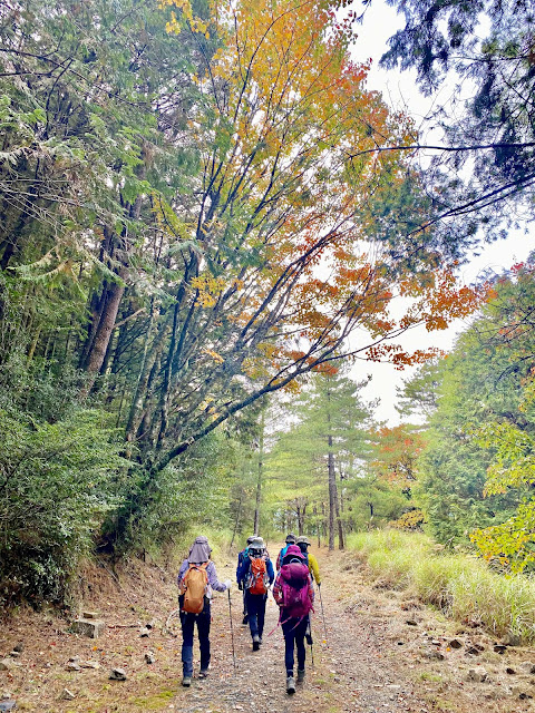 往北三錐山--200林道