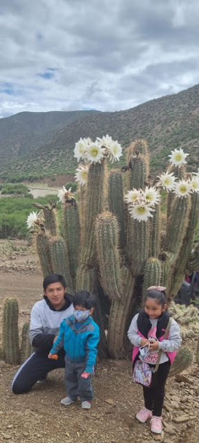 In der Gemeinde Oropeza, Potosí - Bolivien