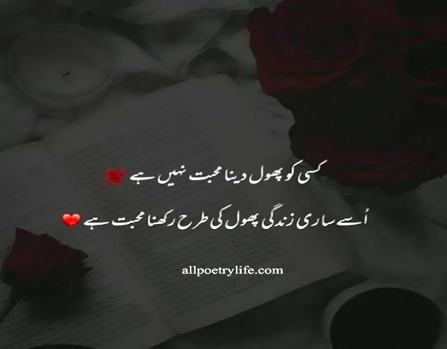 Top Best Quotes in Urdu About Life Reality - Poetry on Life