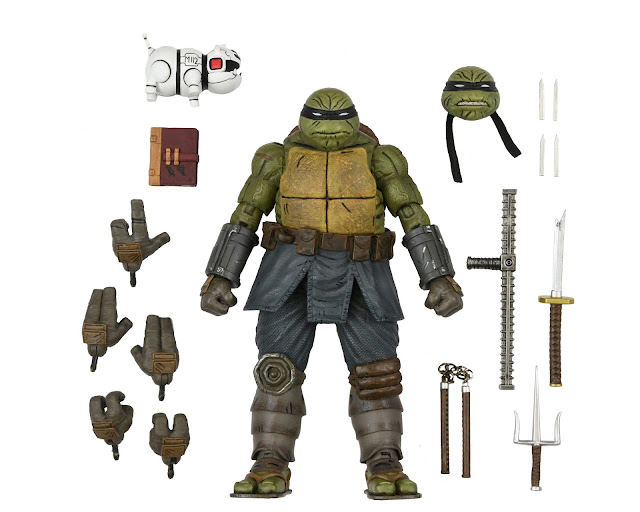 Teenage Mutant Ninja Turtles: The Last Ronin