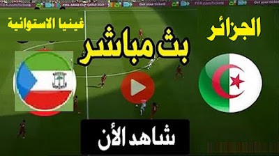 مشاهدة مباراة الجزائر وغينيا الإستوائية بث مباشر