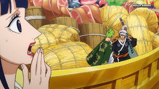 ワンピースアニメ 908話 ワノ国編 | ONE PIECE