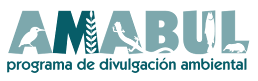 AMABUL