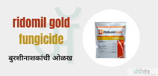 ridomil gold fungicide