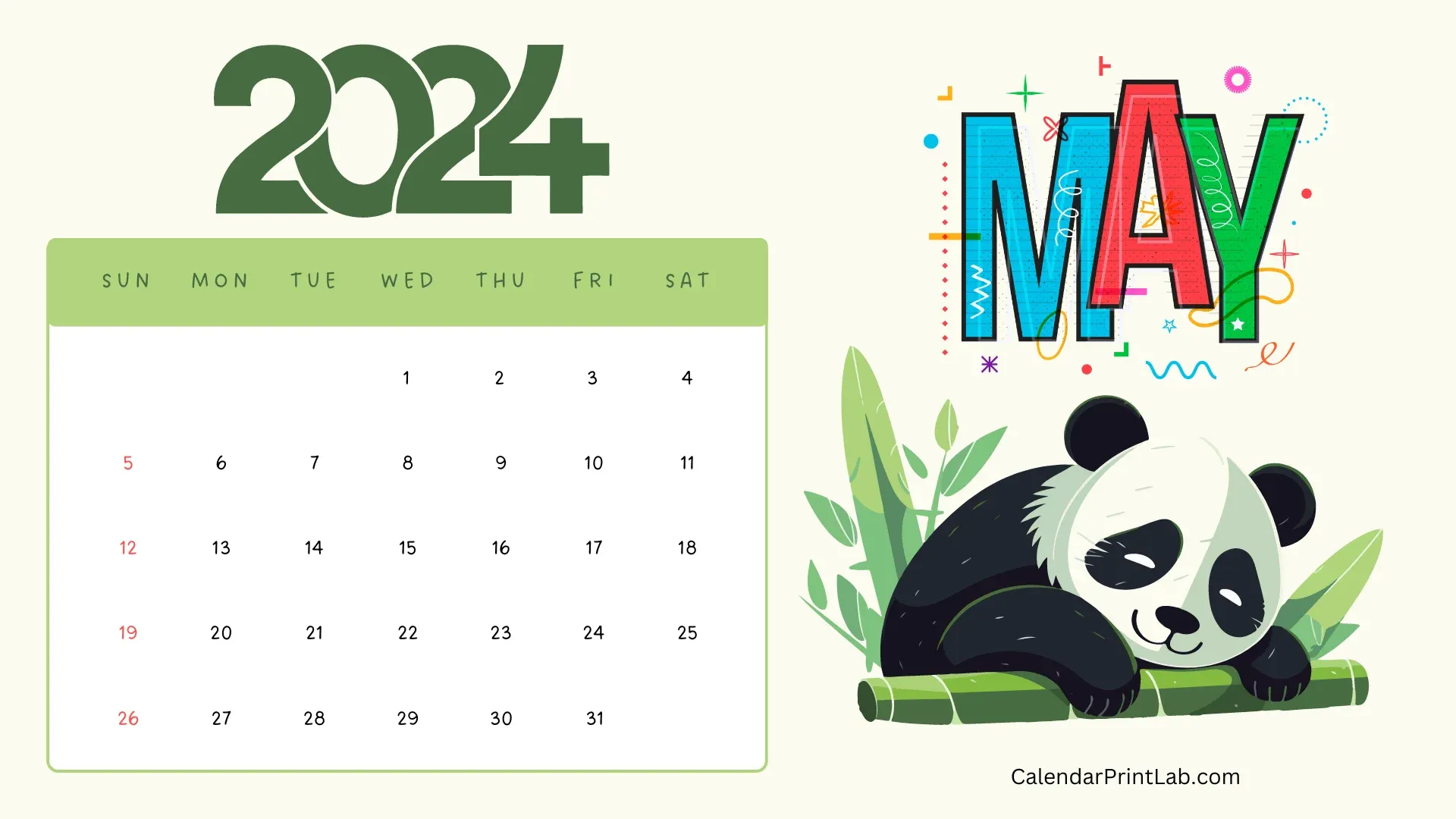 Cute May 2024 Panda Wallpaper