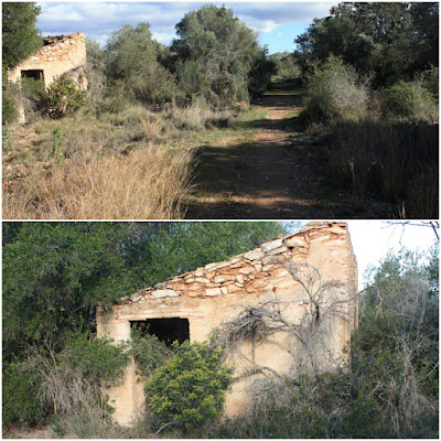 CIMS I COTES DEL BAIX PENEDÈS - BELLVEI AL CASTELL DE LA MUGA, corriol en direcció a La Muga, per l'antic camí de carro, Ruta-1, pallissa