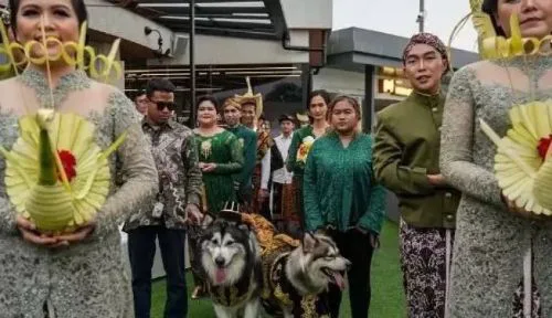 Nikahkan Anjing Pakai Adat Jawa, Kelakuan Staf Khusus Presiden Bikin Murka Masyarakat!