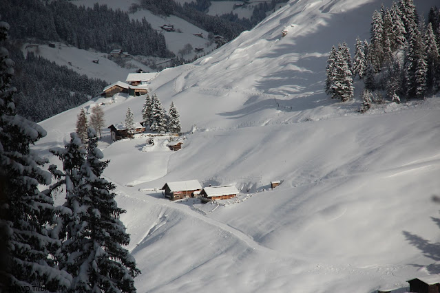 In tieferen Lagen herrschen vergleichsweise recht gute Bedingungen. Tuxer Alpen (Foto: 07.12.2021)