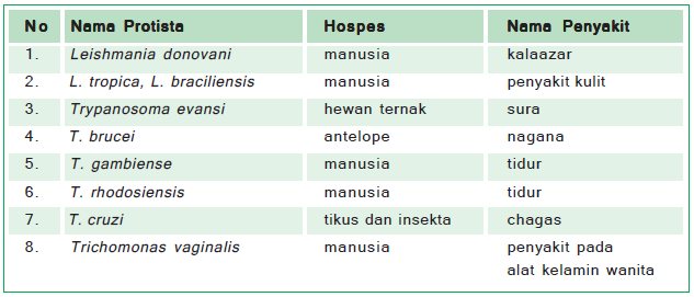 Beberapa penyakit yang disebabkan oleh Flagellata