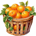 Orangen im Korb, Oranges in a basket, Oranges dans le panier