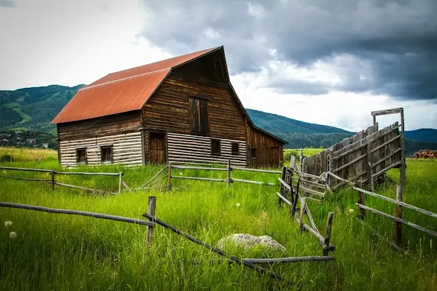 Throughout the 19th century, Americans who transitioned from childhood on farms to adulthood in cities were consistently surrounded by the presence of animals