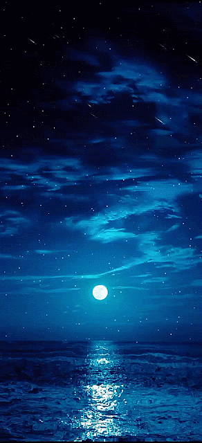 Hình nền động bầu trời đêm đầy sao