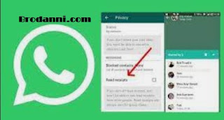 Cara Melihat Story Orang Lain di Whatsapp Tanpa Ketahuan