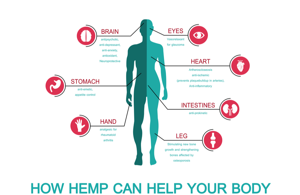 benfits of hemp buds