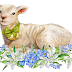 Osterlamm, Easter lamb