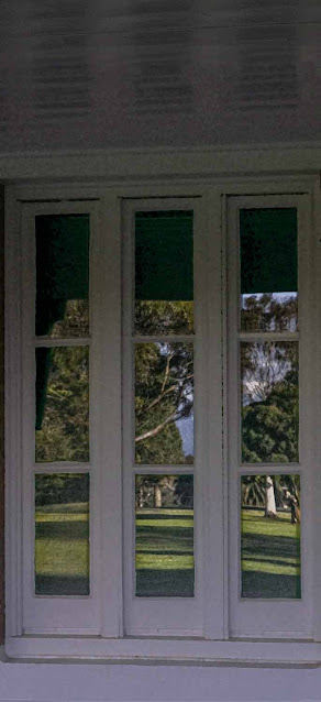 trees of Mont park psychiatric  hospital