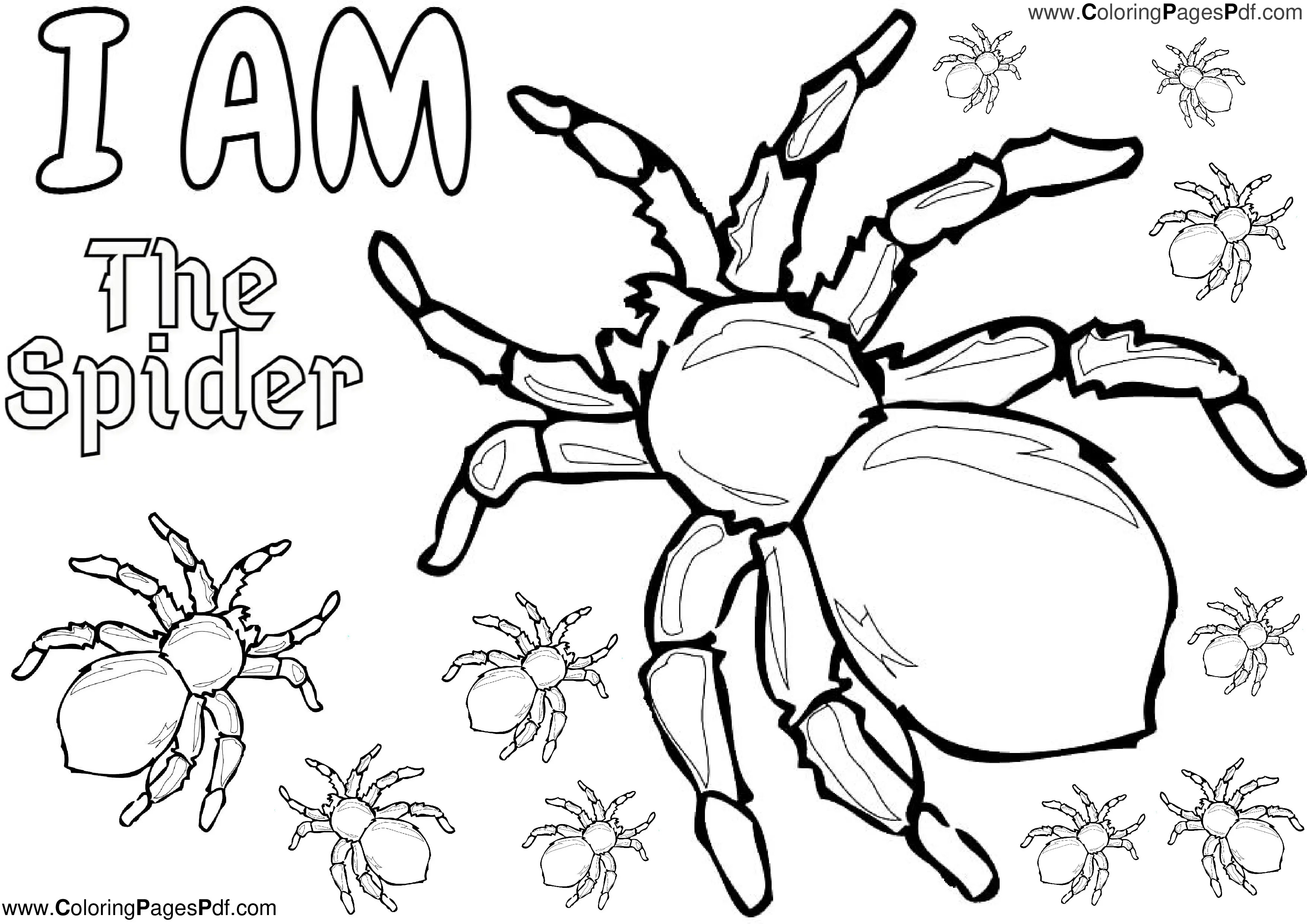 spider man coloring sheets,free spiderman coloring pages,spider man coloring sheets free,spider web coloring page,spiderman pictures to color,spiderman printable coloring pages,free printable spiderman coloring pages,spider coloring,print spiderman coloring pages,spider coloring pages,spiderman coloring pages,spiderman coloring,miles morales coloring book,spiderman colouring book