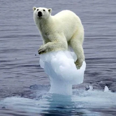 Percepatan pencairan es di kutub akibat pemanasan global belum dianggap sebagai permasalahan sosial oleh banyak pihak