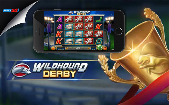 Goldenslot wildhound derby