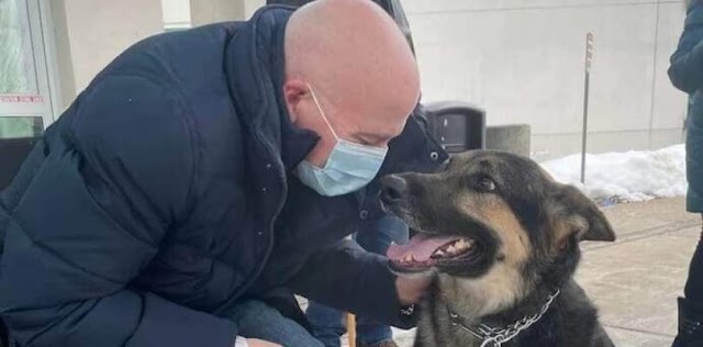 Após ser adotado, cachorro salva vida do novo tutor durante um AVC