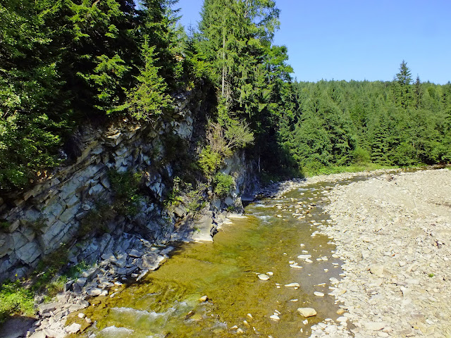 Река Зеленица