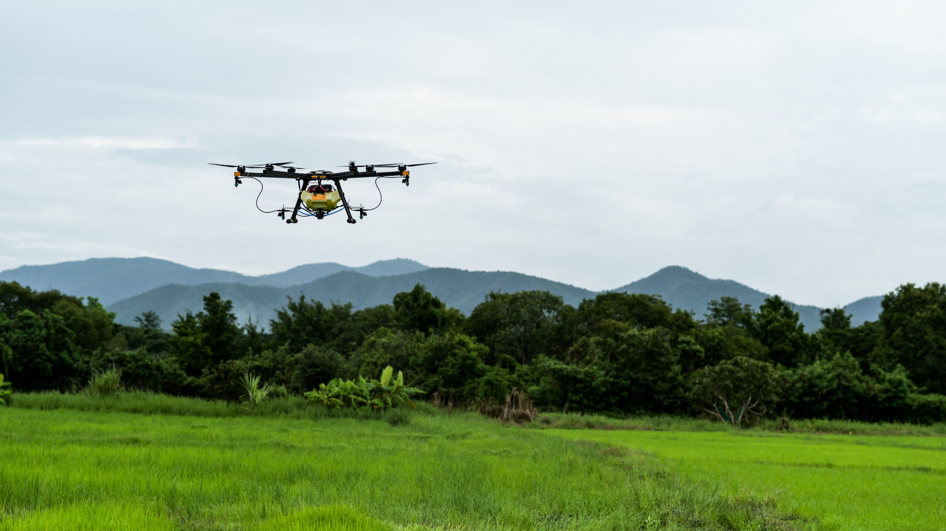 India adopts Standard Operating Procedures for drone application in agriculture