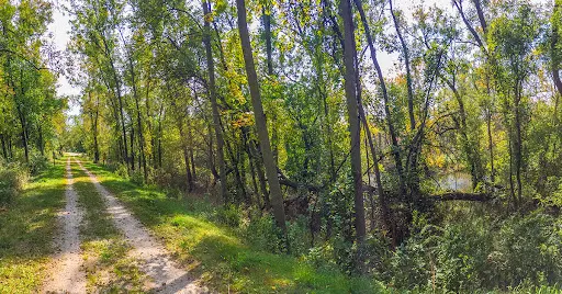 Trail Banner