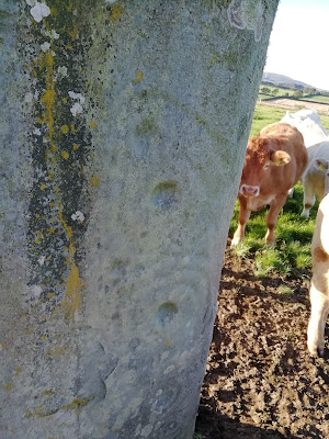 The Ardmore Stone_Bronze Age_Donegal