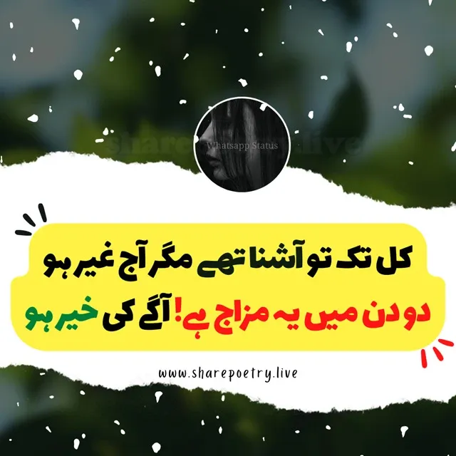 Urdu Poetry for Whatsapp - Copy Text SMS - in 2022