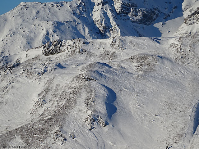 Windeinfluss führte zu ungleicher Schneeverteilung. Sattelberg. (Foto: 16.12.2021)