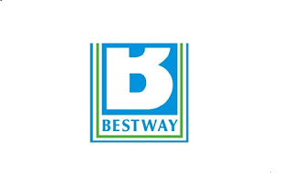 Bestway Cement Limited Jobs Sr. Deputy Manager Security