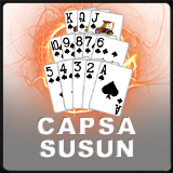 Capsa Susun