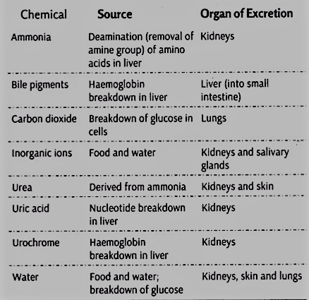 Important Metabolic Wastes and Substances Excreted from the Body