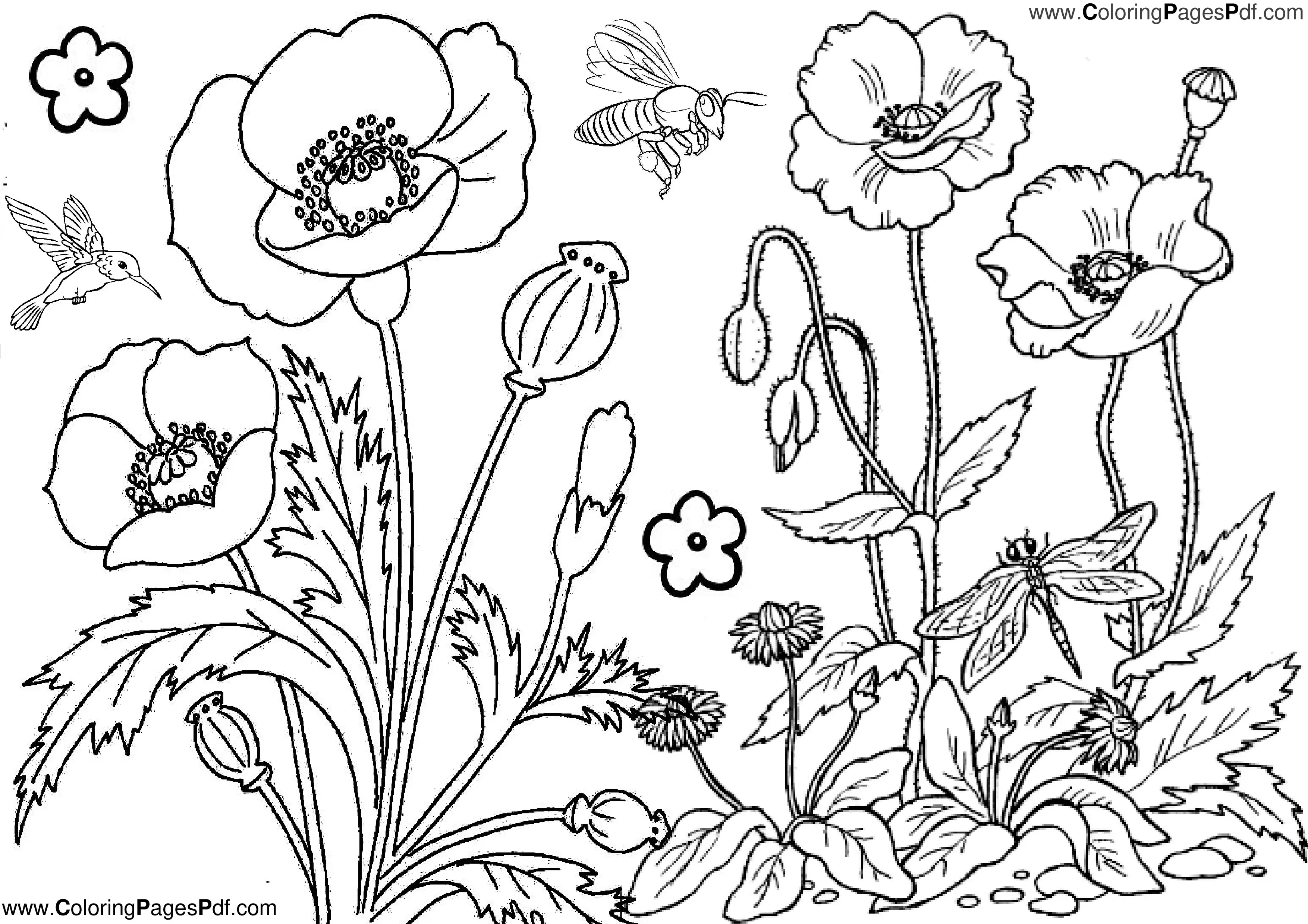 Flower coloring pages pdf