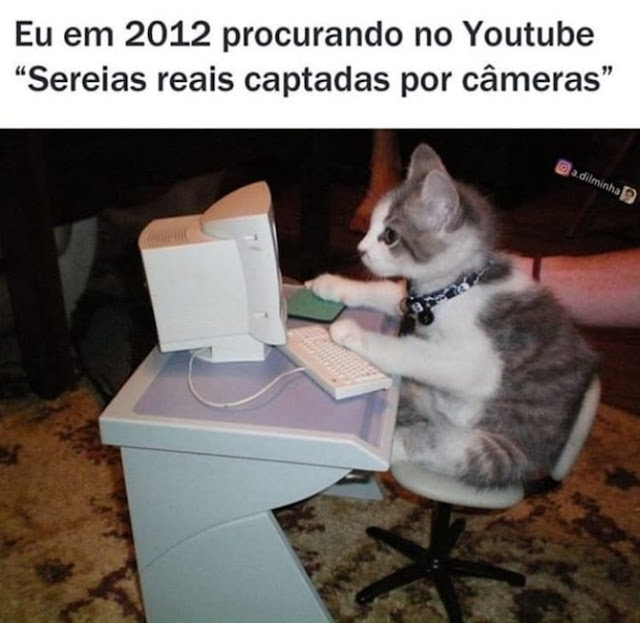 150 memes fofos de animais para você ter na manga