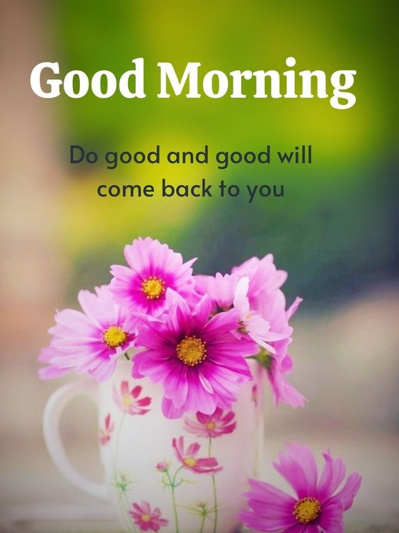 a name good morning photo, good morning photo motivation, good morning photo hindi me, good morning photo navratri, good morning photo or video