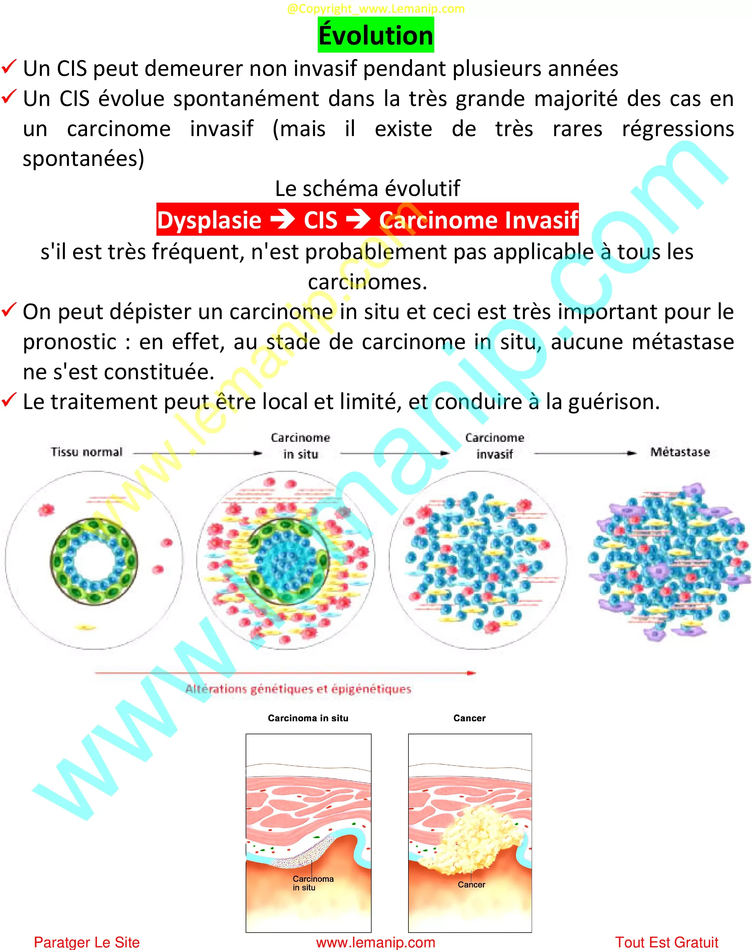 Évolution