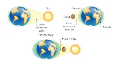 Efecto de la Luna y el Sol sobre las mareas