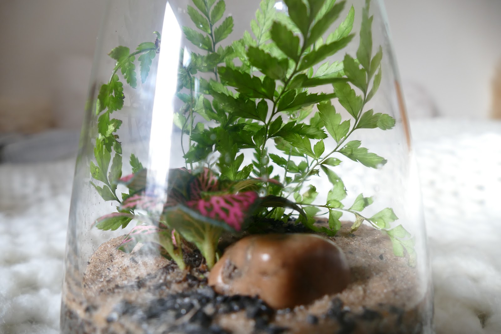 How To Decorate With Terrariums- ConcreteLabCo Review 