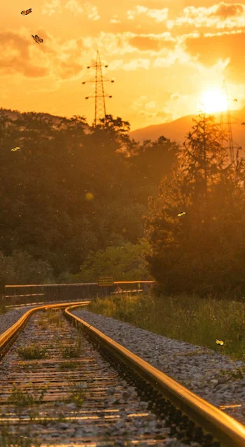 Railway At Sunset With Butterfly Video Wallpaper For Phone