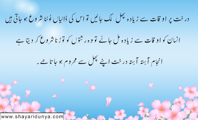 Top 15 Best Urdu Quotes | Meaningful urdu Quotes | Best Quotes In Urdu