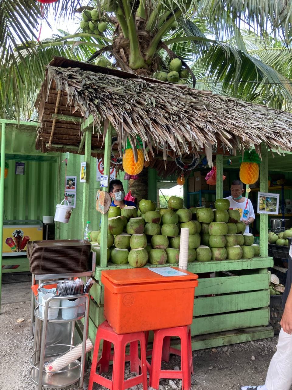 #PusingSelangorDulu: Drive Selama 2 Jam ke Sekinchan Coconut Farm