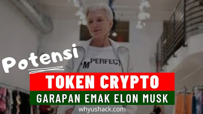 Potensi Koin Crypto Garapan Emak Elon Musk