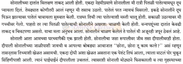 Chapter 17: सोनाली Balbharati solutions for Marathi - Kumarbharati 10th Standard SSC Maharashtra State Board [मराठी - कुमारभारती इयत्ता १० वी]