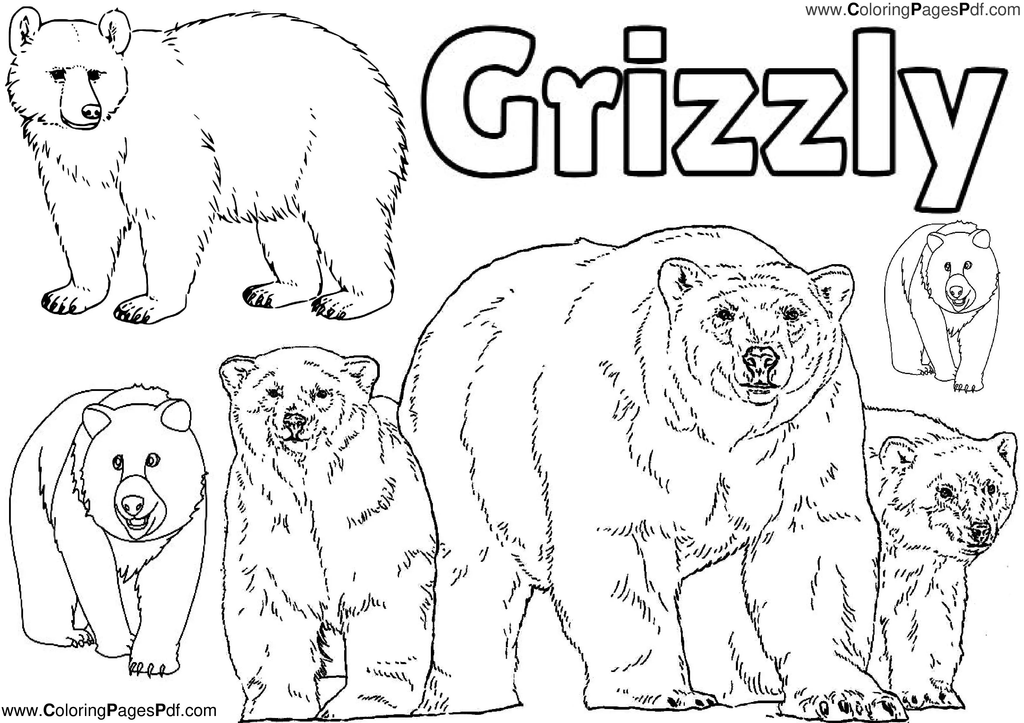 Grizzly Bear coloring pages