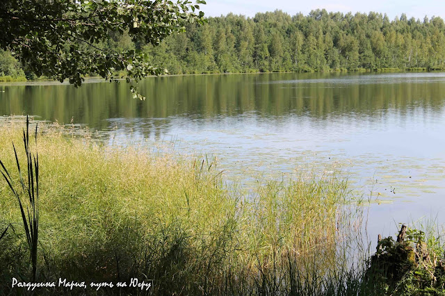 Озеро Светлояр фото